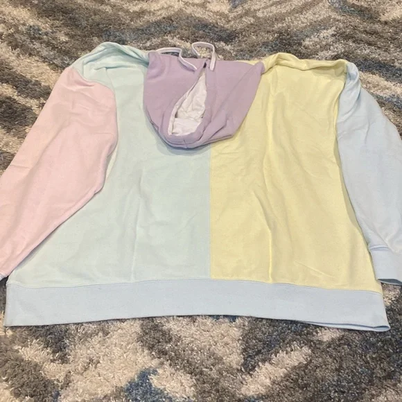 Disneyland pastel hoodie - Picture 4 of 5